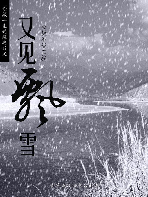 Cover image for 又见飘雪